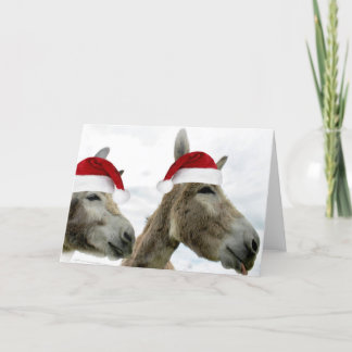 Cartão De Festividades Wonkey Donkey Wishes