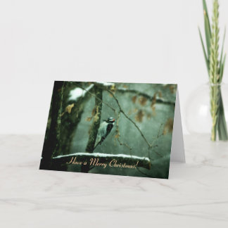 Cartão De Festividades Woodpecker in Snow Christmas Card