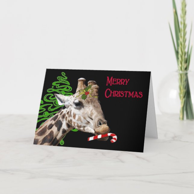 Cartão De Festividades Would you like a Candy Cane? (Frente)