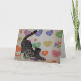 Cartão De Festividades Wyatt O Namorados de Corações de Conversa do Gato