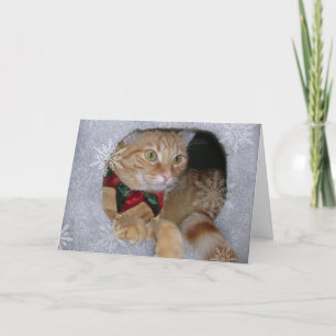 Cartão De Festividades x mas card