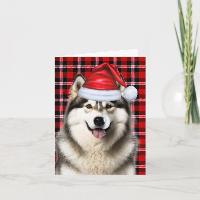 Cartão De Festividades Xadrez de Natal do Cão Malamute no Alasca (Frente)