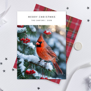 Cartão De Festividades Xadrez Red Cardinal Feliz Pássaro de Natal Holi