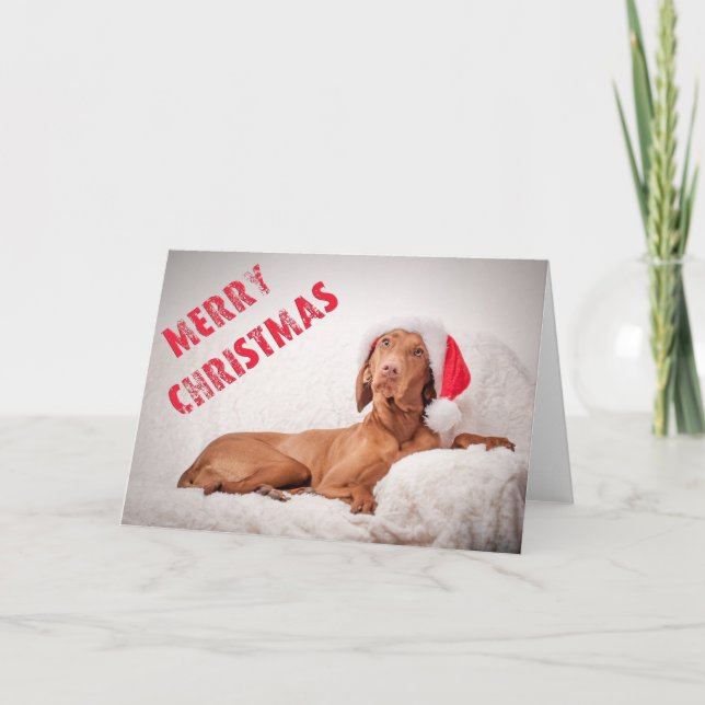 Cartão De Festividades Xmas Card/Christmas Card “Magyar Vizsla " (Frente)