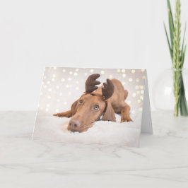 Cartão De Festividades Xmas Card / Christmas Card "Magyar Vizsla"