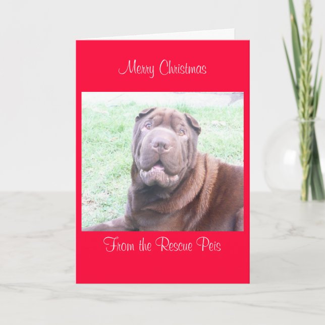 Cartão De Festividades xmas card_cr, natal de Feliz de Wallace (Frente)