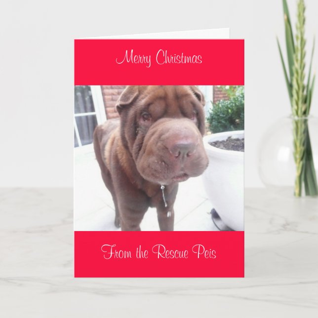 Cartão De Festividades xmas card_cr, natal de Feliz de Wallace (Frente)