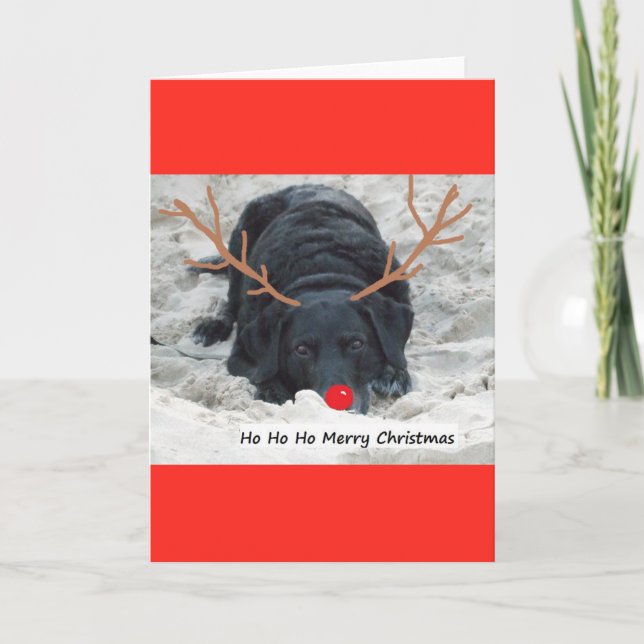 Cartão De Festividades Xmas da feliz (Frente)