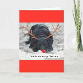 Cartão De Festividades Xmas da feliz