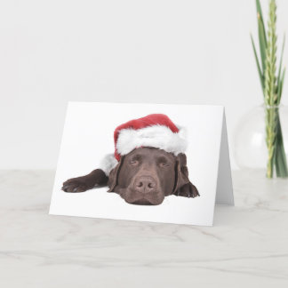 Cartão De Festividades Xmas Labrador Greeting Card