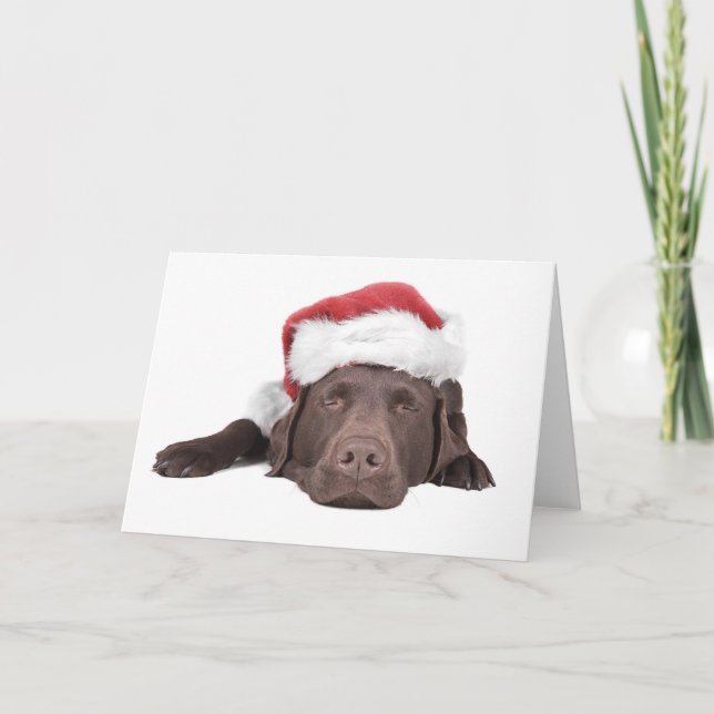 Cartão De Festividades Xmas Labrador Greeting Card (Frente)