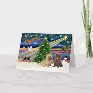 Cartão De Festividades Xmas Magic-Cairn Pair-wheatn+brindle