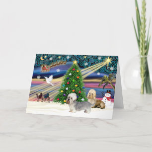 Cartão De Festividades Xmas Magic-Dandie Dinmont Pair