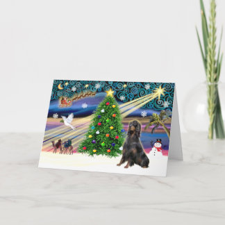 Cartão De Festividades Xmas Magic-Gordon Setter
