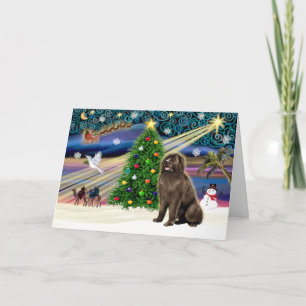 Cartão De Festividades Xmas Magic-Newfie-brownsit