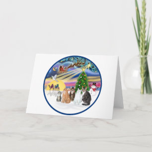 Cartão De Festividades Xmas Magic (R) - Cinco gatos (AmSH)