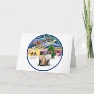 Cartão De Festividades Xmas Magic (R) - Dois gatos siameses