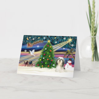 Cartão De Festividades Xmas Magic/Shih Tzu #4