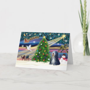 Cartão De Festividades Xmas Magic-Tibetano Terrier (BW)