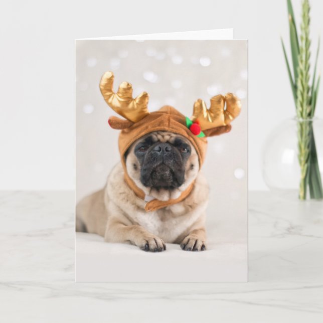 Cartão De Festividades Xmas Pug (Frente)