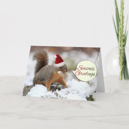 Cartão De Festividades Xmas Squirrel in Snow
