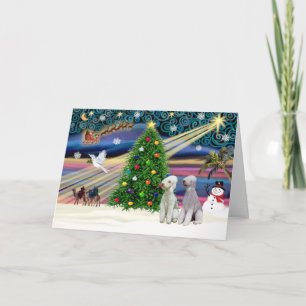 Cartão De Festividades XmasMagic-Bedlington Pair