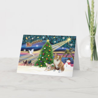 Cartão De Festividades Xms Magic-2Corgis-Pem+pup
