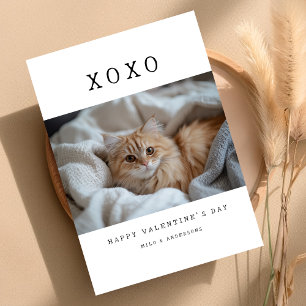 Cartão De Festividades XOXO Kit de Gatinho de Gato Retro Simples Foto do