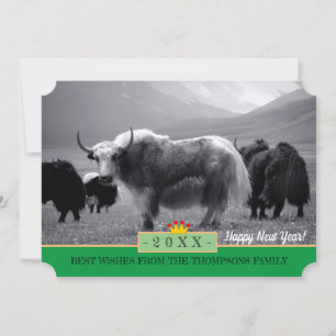 Cartão De Festividades Yaks & Feliz ano novo! Cartão/Himalayas, Yak Tibet
