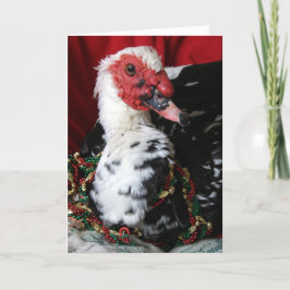Cartão De Festividades Yankee, o Drake Muscovy, Natal