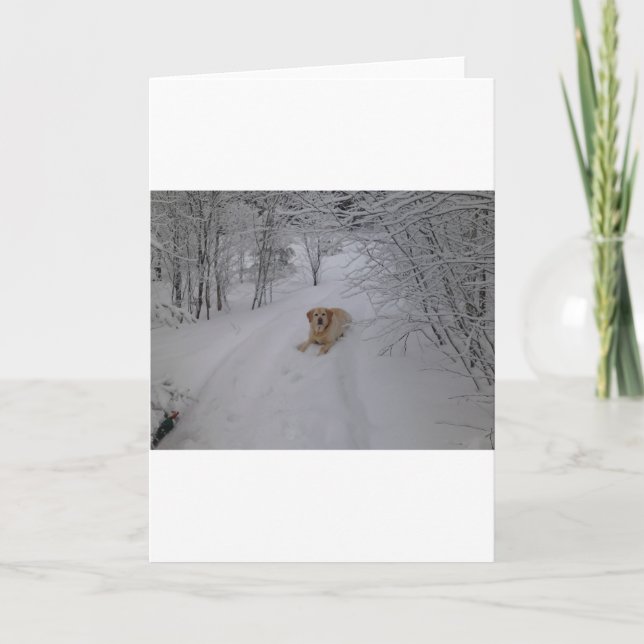 Cartão De Festividades Yellow Lab Relaxing in Fresh Winter Snow (Frente)