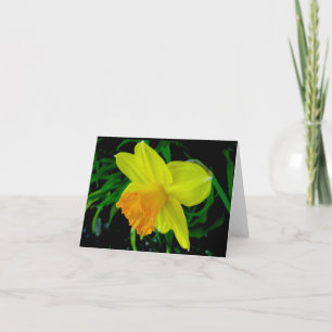 Cartão De Festividades Yellow Orange Daffodil Note Card