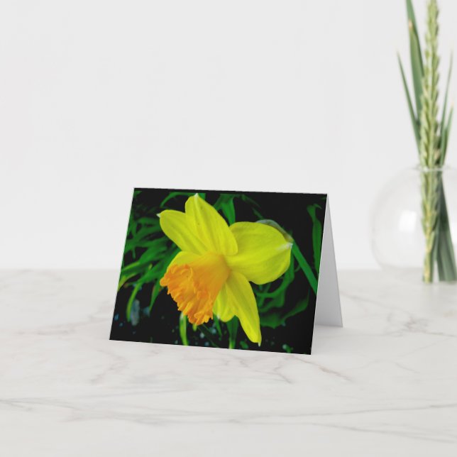 Cartão De Festividades Yellow Orange Daffodil Note Card (Frente)