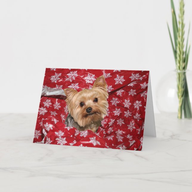 Cartão De Festividades Yorkie Christmas (Frente)