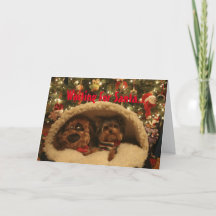 Yorkie Christmas