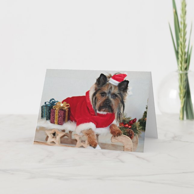 Cartão De Festividades Yorkie Yorkshire Terrier Dog - Christmas Santa Hat (Frente)