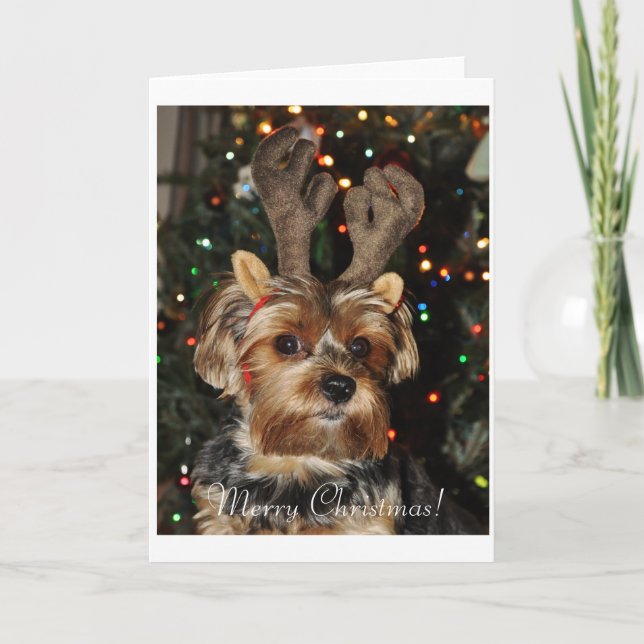 Cartão De Festividades Yorkshire Terrier Christmas Card (Frente)