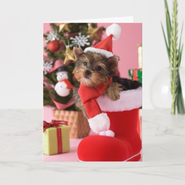 Cartão De Festividades Yorkshire Terrier Puppy and Christmas (Frente)