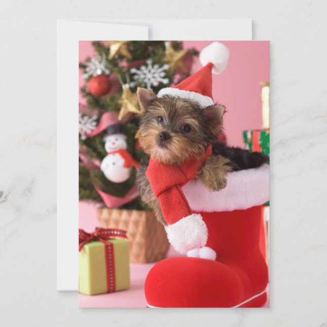 Cartão De Festividades Yorkshire Terrier Puppy and Christmas (Frente)