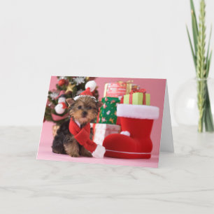 Cartão De Festividades Yorkshire Terrier Puppy and Christmas