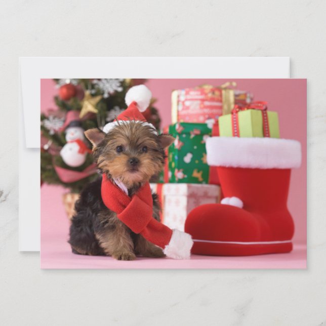 Cartão De Festividades Yorkshire Terrier Puppy e Natal (Frente)