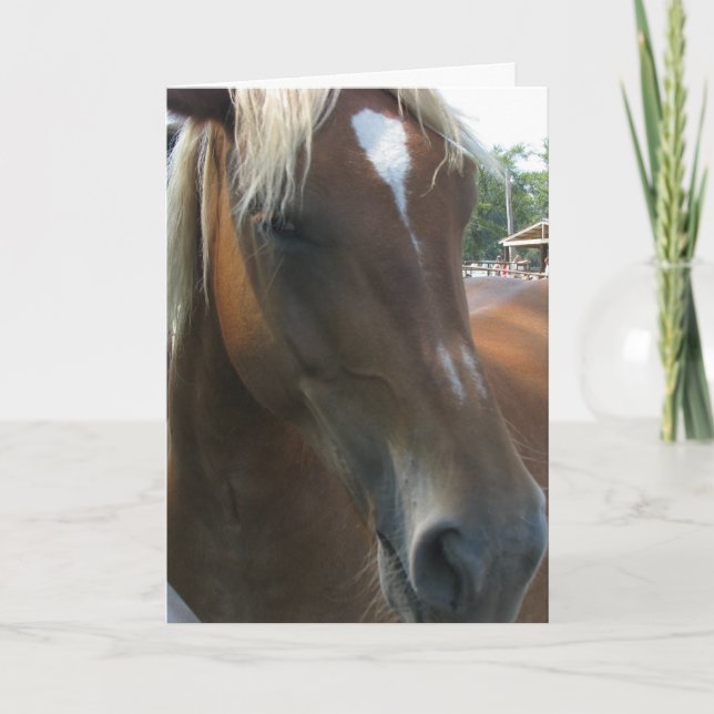 Cartão De Festividades You always catch my eye (Frente)