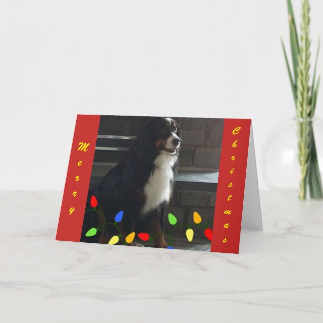 CARTÃO DE FESTIVIDADES **YOU LIGHT UP MY LIFE** MERRY CHRISTMAS (Frente)