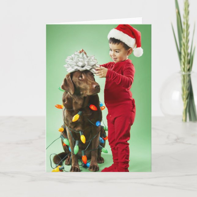 Cartão De Festividades Young boy wrapping Christmas lights around a dog (Frente)