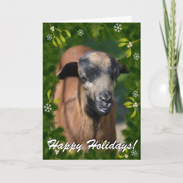 Cartão De Festividades YOUR GOAT PHOTO in this Boughs and Mistletoe Frame (Frente)