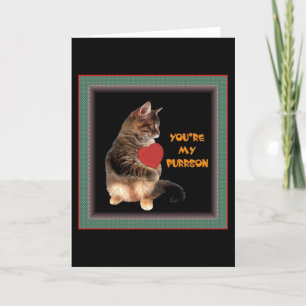 Cartão De Festividades You're my Purrson