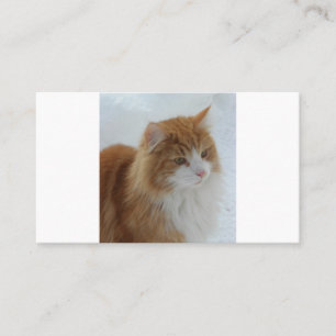 Cartão De Fidelidade Gato_da_Floresta_Norueguesa