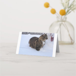 Cartão De Fidelidade gato da floresta norueguesa na neve
