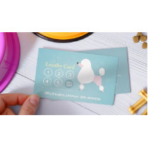 Pet Care Sentando Banho e Alinhando Punch Lealdade