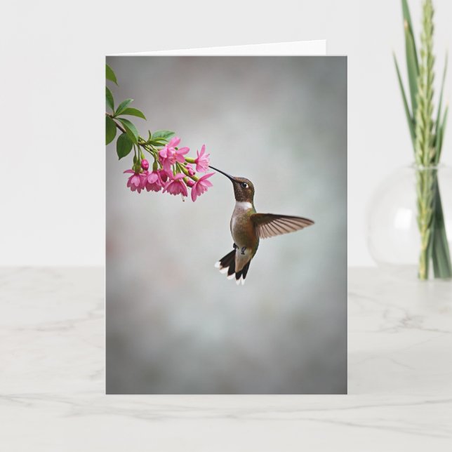 Cartão de Flor de Beija-flor com Pontos (Frente)